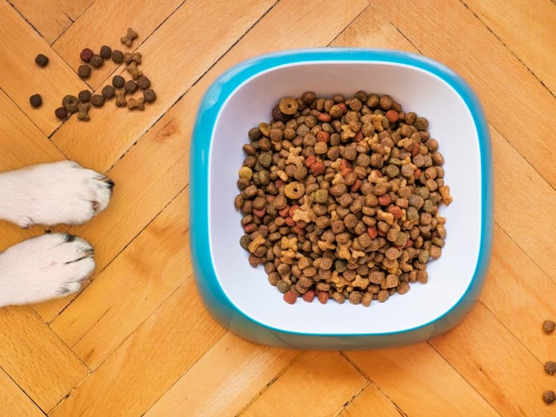 Dog Food