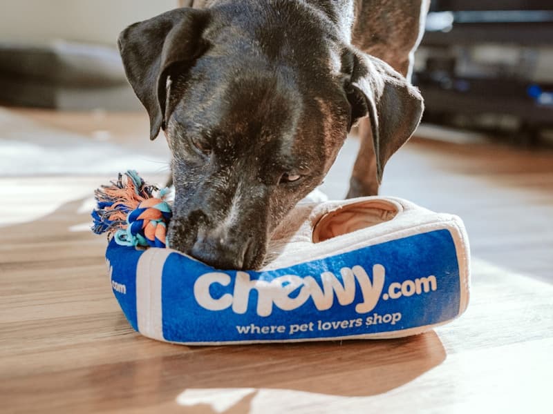 NutriPaws Budget Blend