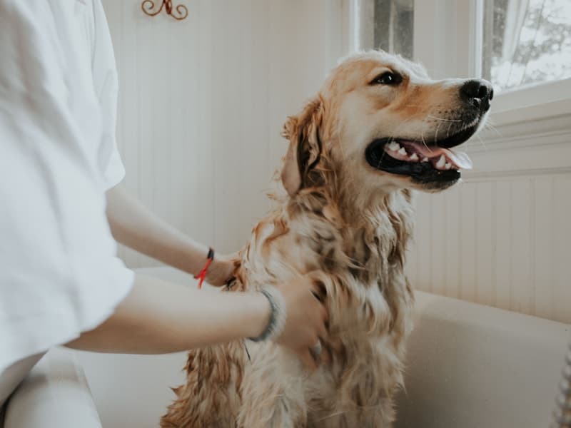 Grooming